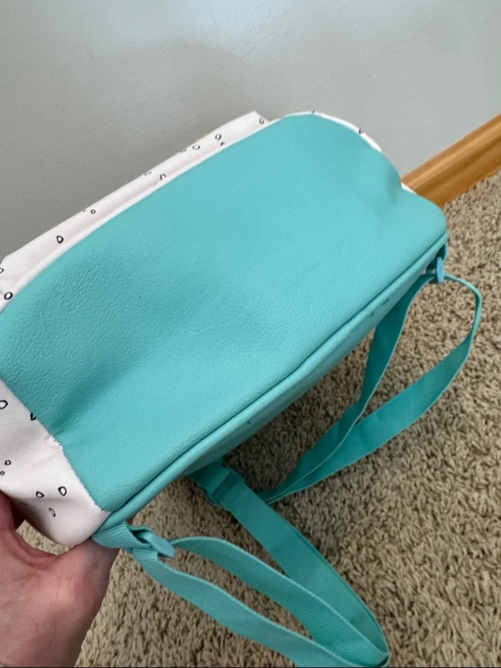 Peanuts bag new